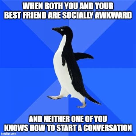 Socially Awkward Penguin Memes Imgflip