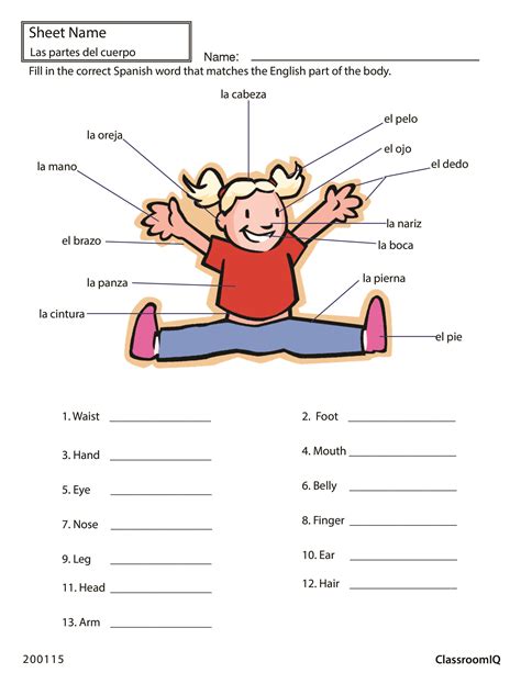 Spanish Practice Worksheets For Beginners