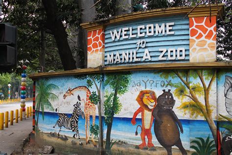 Visit The Manila Zoo Recently Upgraded Manila Zoo Pictures