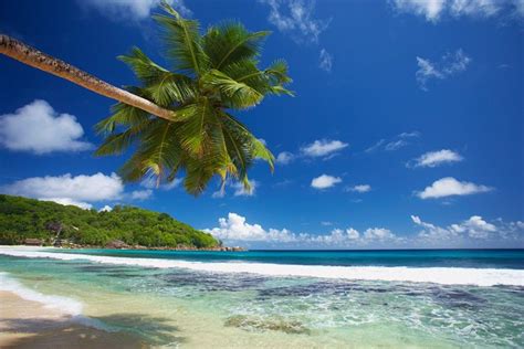Image For Anse Takamaka Seychelles 2 Beach Theme Decor Beach Themes