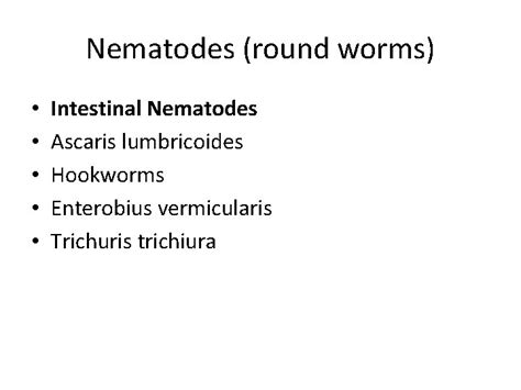 Medical Parasitology Classification Of Parasites Parasites Are Eukaryotes
