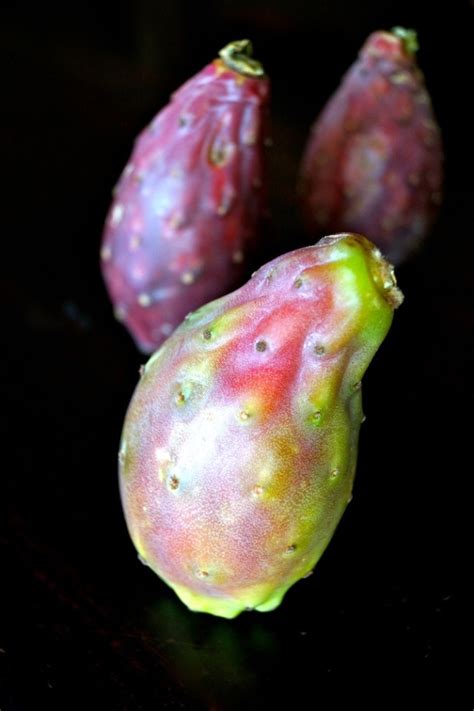 It grows in both tropical and temperate regions, including south africa and australia. Prickly Pear Vinaigrette Recipe | Cooking On The Weekends