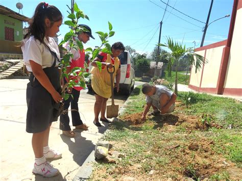 Niños especiales desarrollan «Sembrando tu plantita» – Diario de