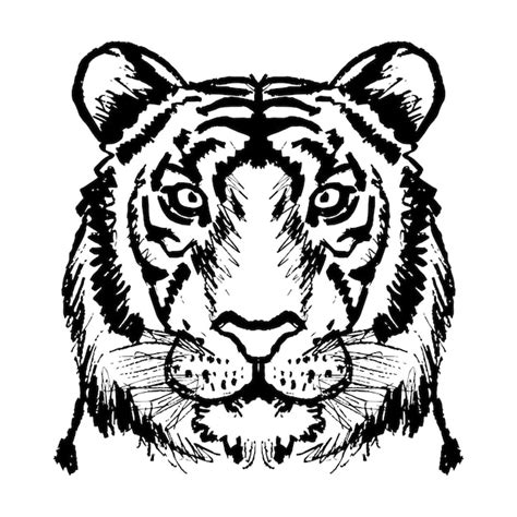 Premium Vector Tiger Face Line Drawing Illustration