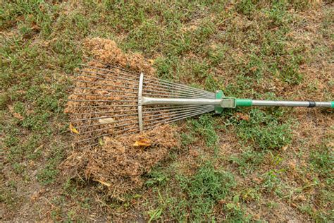 80 Working With Broom Sweeps Lawn From Fallen Leaves Stock Photos