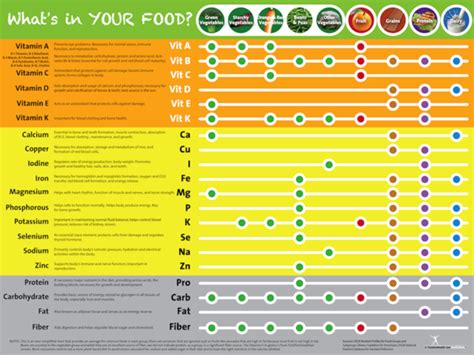 Handout Sneak Peek Vitamin And Mineral Chart Mineral Chart Vitamins