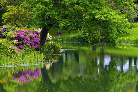 A Place Where I Want To Be Lake Garden Beautiful Gardens Nature