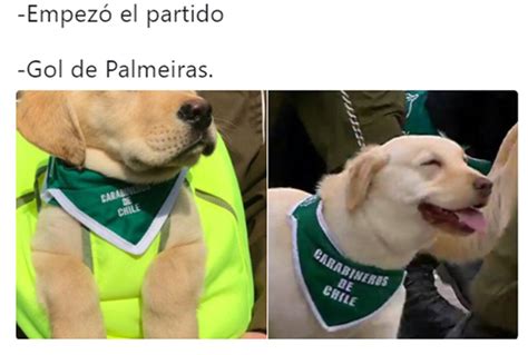 Memes del partido entre universitario de deportes y colo colo (foto: Colo Colo eliminado de Copas Libertadores: Memes ...