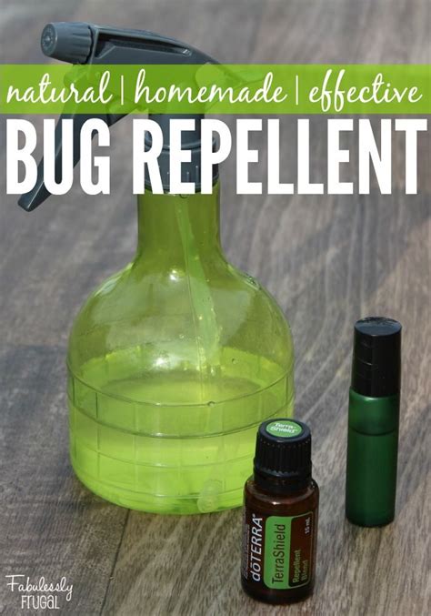 Diy Natural Spider Repellent That Works Fabulessly Frugal Natural