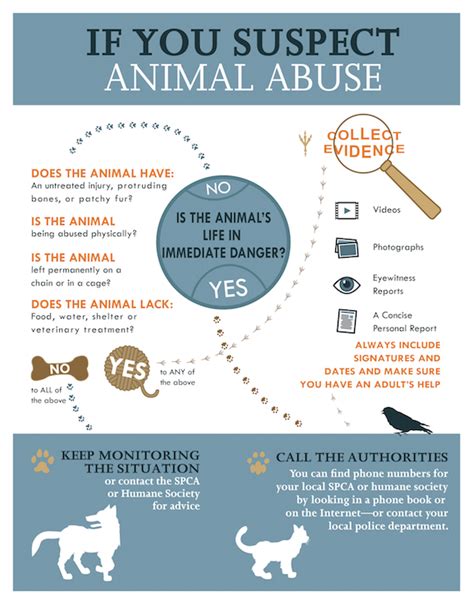 Animal Abuse Warning Signs