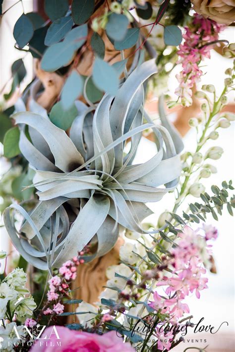 Sweet And Simple Succulent Decor For A Boho Chic Wedding Boho Chic