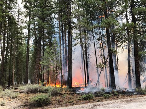 Bootleg Fire nears 300,000 acres at 22% containment (Morning Update