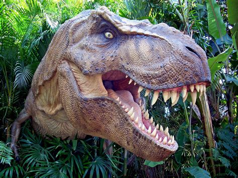 Tyrannosaurus rex had powerful back legs that let it hunt prey over short distances at up to 20mph (32 kph). T-Rex Dinosaur | (Photo taken at Universal Studios "Jurassic… | Flickr