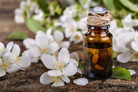 One of the most popular uses of essential oils is in aromatherapy. Best Jasmine Essential Oil Benefits and Uses | Biophytopharm