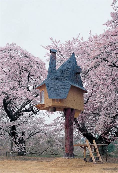 Theres A Treehouse In Japan Thats Straight Out Of A Fairy Tale I