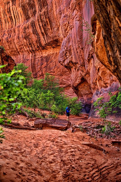 A Man Standing In The Middle Of A Canyon Surrounded By Trees And Rocks