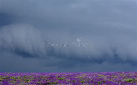 Storm Clouds Over Field During Sunset Picture Image 91757410