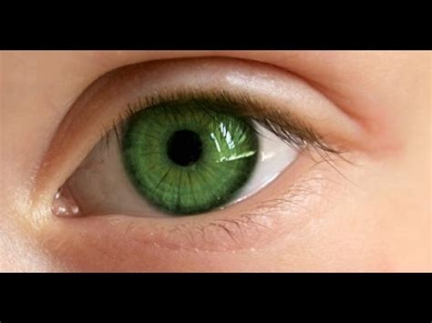 Common causes likely to result in eye floaters include: Floaters In Eyes, Eye Floaters And Flashes, Black Eye ...