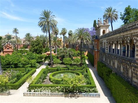 , andalusian spanish (with yeísmo) ) is the capital and largest city of the spanish autonomous community of andalusia and the province of seville. Le palais royal Alcazar à Séville - Cuisine gourmande de ...