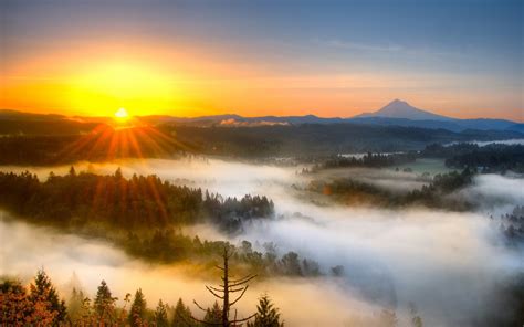 Morning Sunrise Morning Mist Mountain Sunrise Wallpaper