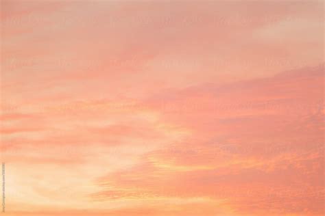 Pink Clouds At Sunset By Stocksy Contributor Amy Covington Stocksy