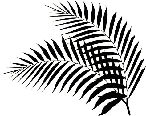 Palm Leaf Drawing At Getdrawings Free Download