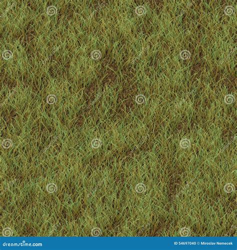 Grass Texture Seamless Illustrated Olfeholo
