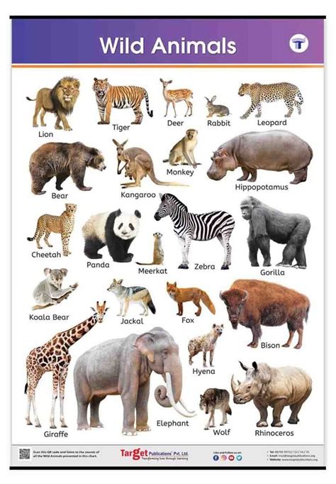 Wild Animals Learning Chart Learning Charts For Kids Online Target
