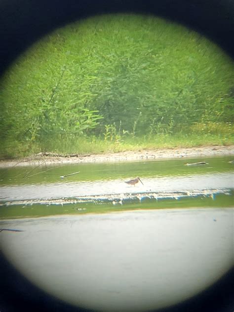 ebird checklist 11 sep 2022 lake crabtree nature trail southport entrance 15 species 2