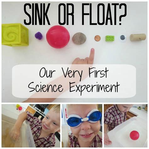 Sink Or Float Our Very First Preschool Science Experiment Simple And