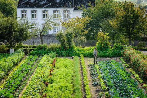 Kitchen gardens have been around for a very long time, so long that their history is not known. Kasteel Hex Kitchen Garden | Jason Ingram | Bristol ...