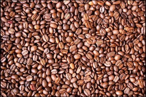 Optical Illusions Can You Spot The Famous Faces In These Coffee Bean