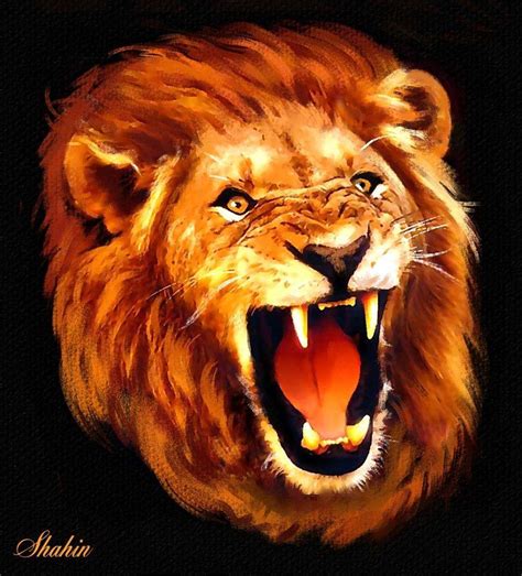 Lion Head Roaring Wallpapers Wallpaper Cave