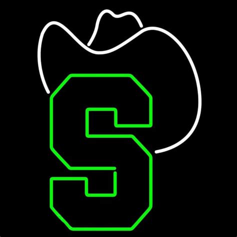 Custom Stetson Hatters Primary 1991 Pres Logo Ncaa Neon Sign Neon Sign