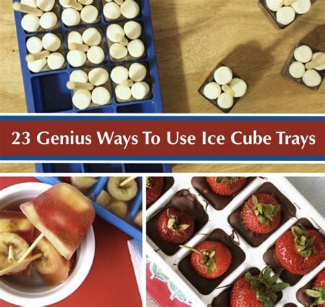 23 Genius Ways To Use An Ice Cube Tray Homestead And Survival