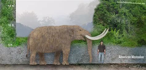 Mammut Mastodon Facts And Pictures
