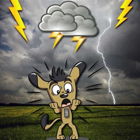 10 Genius Tips To Calm A Dog During A Thunderstorm