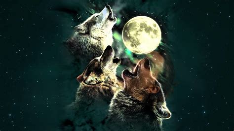 Wolf Howling At The Moon Wallpaper Images