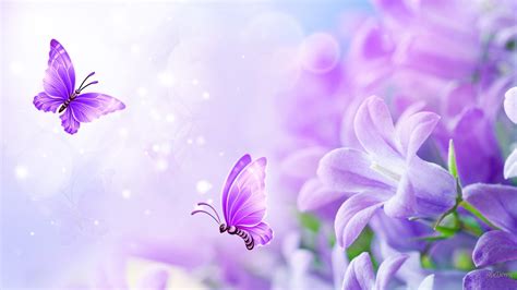 Purple Flowers And Butterfly 4e7