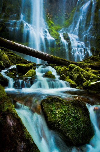 Proxy Falls Waterfall Beautiful Places Oregon Travel