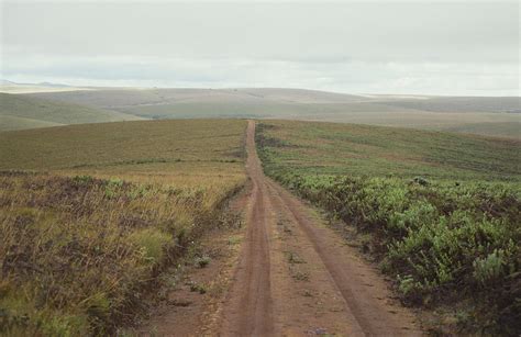 A Dirt Road Leading To The Horizon Photograph By Bill Curtsinger