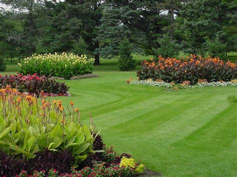 No matter the size and shape of your yard, this is where you can find all landscaping ideas and strategies you'll need. Siddhesh Enterprises, Mumbai - Horticulture Services, Pest ...