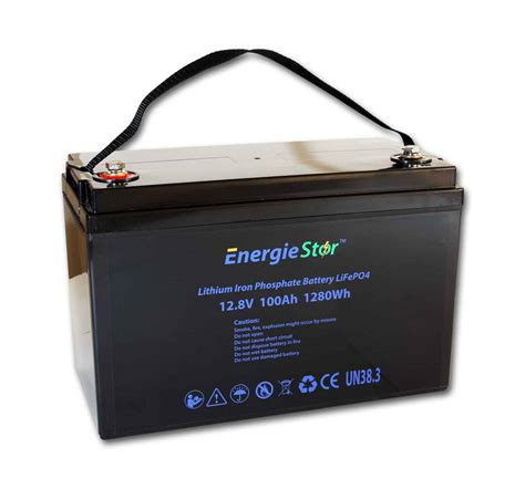 Lifepo4 100ah Lithium Battery 128v Energiestor