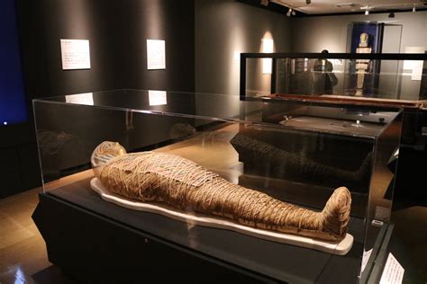 『大英博物館ミイラ展』で6体のミイラが語る古代エジプトの歴史と文化、河合望教授に訊く特別展の見どころ解説第2弾 Spice エンタメ特化型情報メディア スパイス