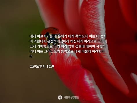 고린도후서 12 9 Daily Bible Inspirations