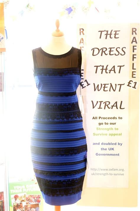 Newsreaders Optical Illusion Dress Sparks Debate Over Whether Its