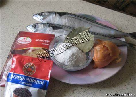 Рецепт диет скумбрии Копченая скумбрия. Рецепт скумбрии. Скумбрия в луковой шелухе Копченая скумбрия. Рецепт скумбрии. Скумбрия в луковой шелухе Рецепт диет скумбрии