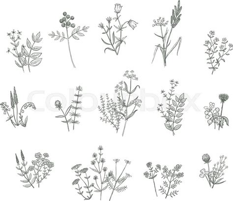 A simple flower drawing, ( or at least a simple one). Set of vector sketchy hand drawn ... | Stock Vector ...