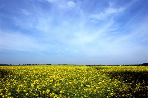 Imagens de lindas paisagens em alta resolução | Nature wallpaper