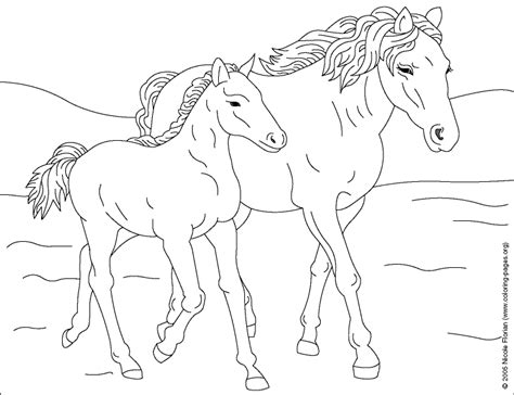 You get to color two horses in one horizontal page with this mare and her foal frolicking through a field together. Coloring Horse Pictures | Horse coloring pages, Horse ...